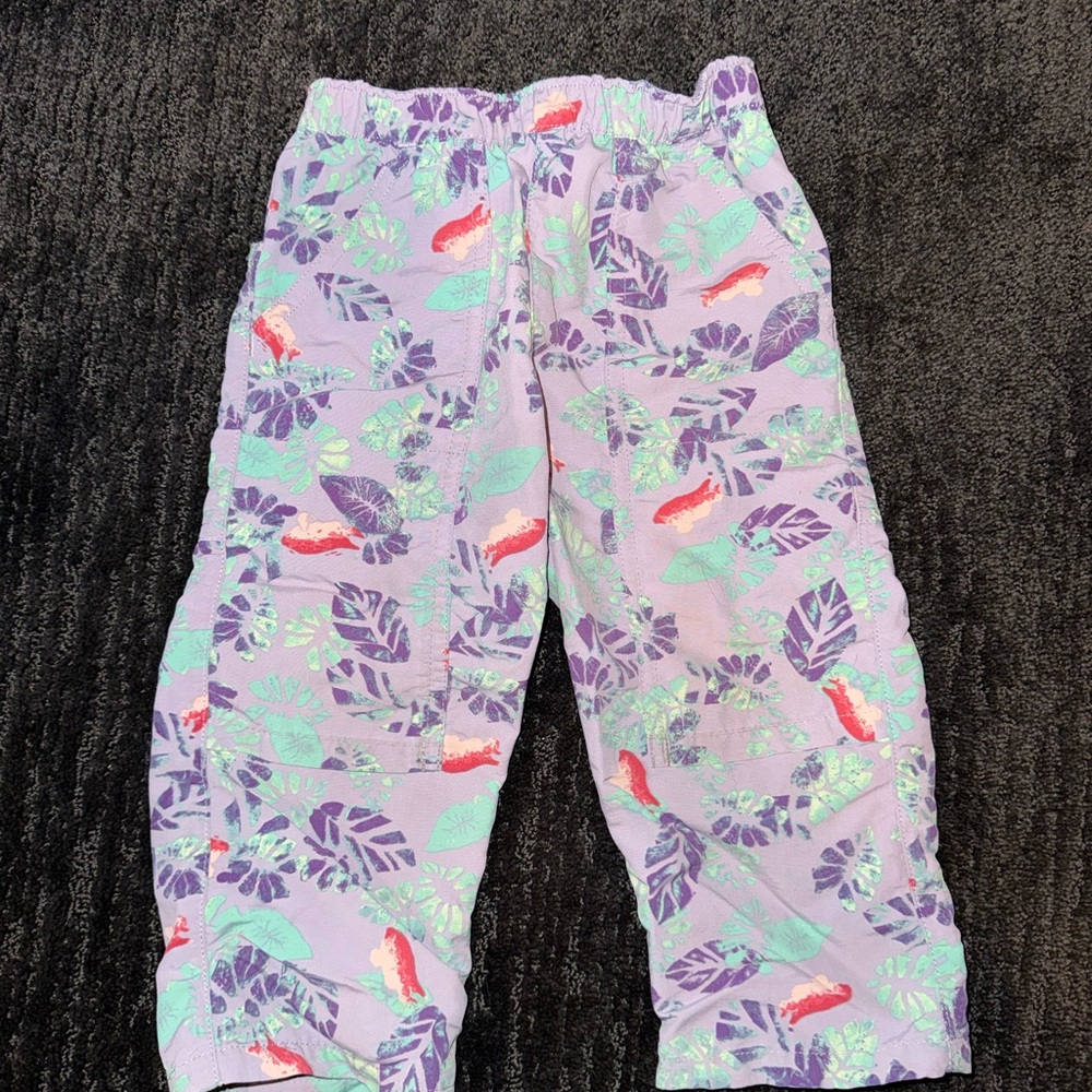 Patagonia Baby Baggies Summit Pants